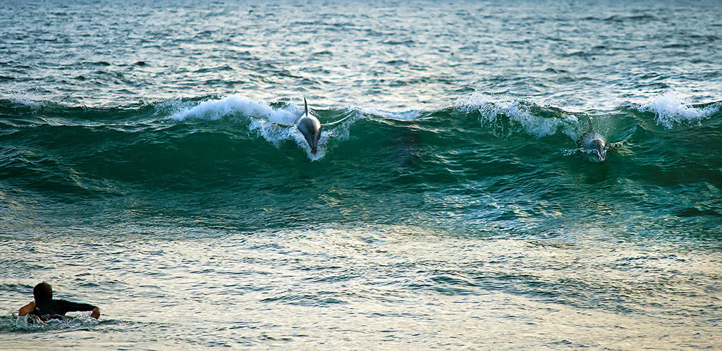 `Brothers of the Sea´, © 2013 John K. Goodman